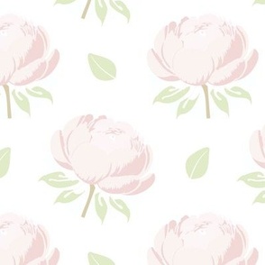Sweet Soft Pink and Green Peony Peonies - Medium Scale