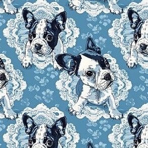 Boston Terrier on Blue Lace