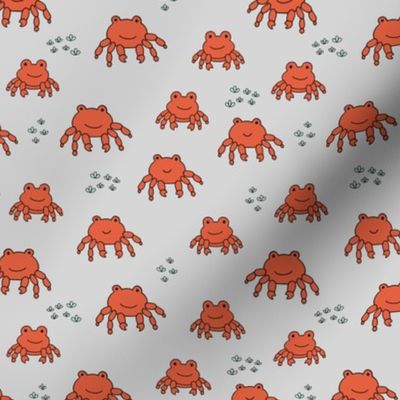 Crabby shore - summer beach animals freehand crabs for kids red on gray