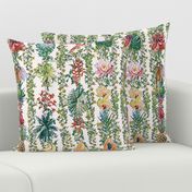 Aesthetic romantic tropical floral featuring plants and flowers from the tropics 