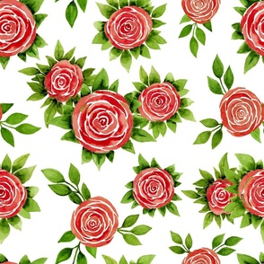 Watercolour pink roses with green leaves, white background. Seamless floral pattern-316.