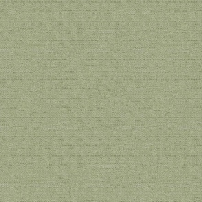 Grasscloth Baby Green