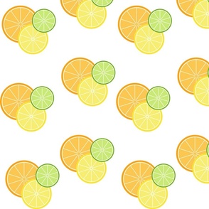 Lemon, Lime, Orange Slices Large Scale