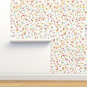 It’s A Party_Celebration Confetti_Multi Colored_Large Scale