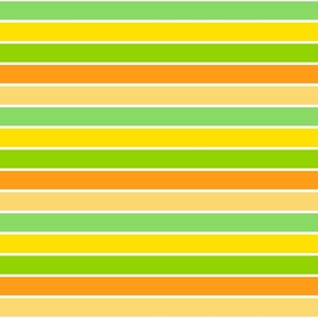 Summer stripe in citrus. Small scale