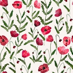 Medium Red Poppy Flowers in Watercolor 