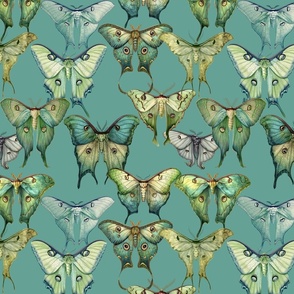 Custom vintage luna green moths illustrations on blue green