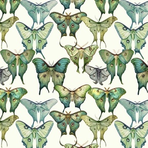 Custom Vintage Green luna moths illustrations on  an ivory background