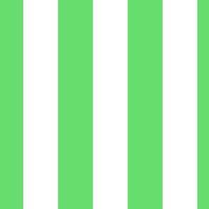 3 inch white and bright green vertical stripes