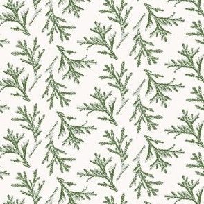 XS ✹ Earthy Evergreen Cedar Sprigs in Green and White for Seasonal Decor