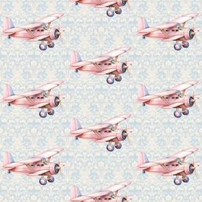 Pink Airplanes