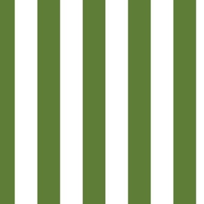 2 inch vertical stripe white and green