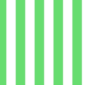 2 inch vertical stripe white and bright green