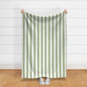 2 inch vertical stripe white and light green