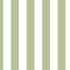 2 inch vertical stripe white and light green