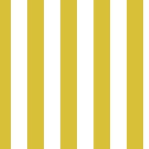 2 inch vertical stripe white and yellow