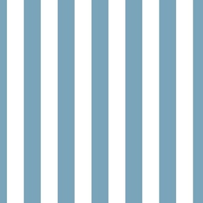1.5 inch vertical stripe in white and blue