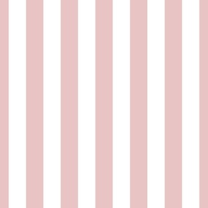 1.5 inch vertical stripe in white and baby pink