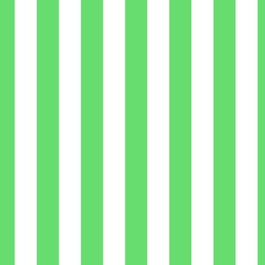 1.5 inch vertical stripe in white and bright green
