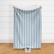1.5 inch vertical stripe in white and baby blue