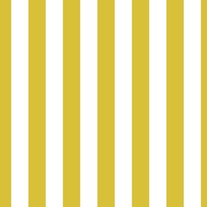 1.5 inch vertical stripe in white and yellow
