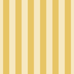  Sophisticated Yellow Circus Stripes for Interiors