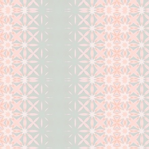 Peach fuzz star pattern