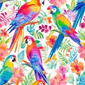 vibrant parrots
