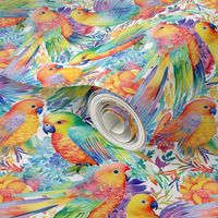 vibrant budgies