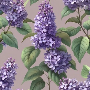 I blooming lilac branches on dove grey