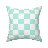 checkerboard - mint 