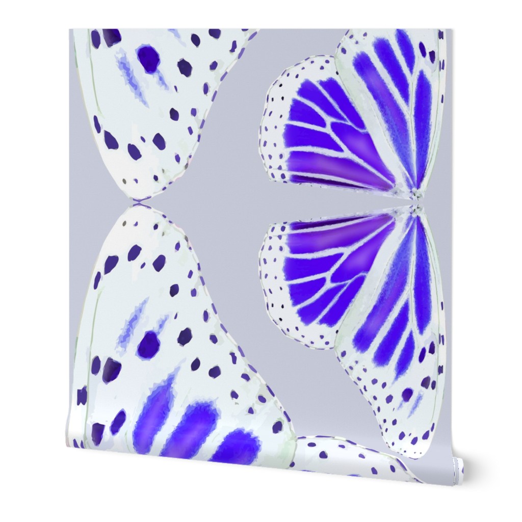 Giant Lavender-White Butterfly Wings - 52 inches wide