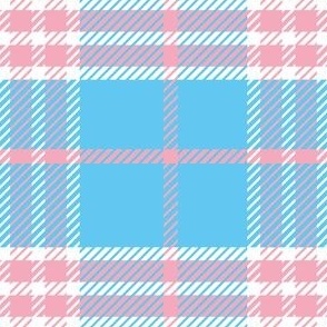 Trans Plaid Blue