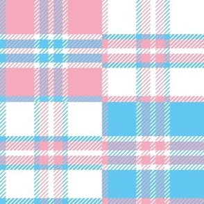 Trans Plaid Multi