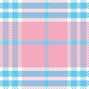 Trans Plaid Pink