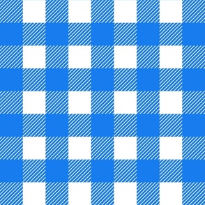 2 inch buffalo checks bright blue white, traditional, plaid