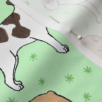 French Bulldog toons and stars - green