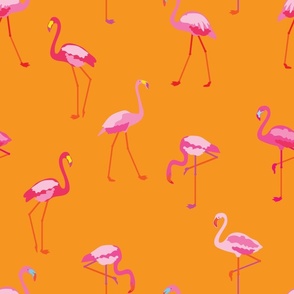 Flaming Flamingos