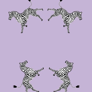 zebra hi5 lavender
