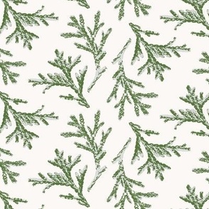 S ✹ Earthy Evergreen Cedar Sprigs in Green and White for Seasonal Decor