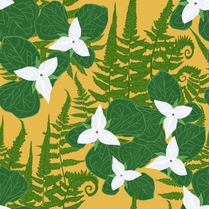 CUSTOM white trillium and ferns on mustard forest floor 