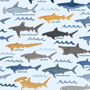 Sharks - Hand Drawn Shark Identification Chart
