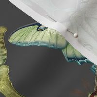 Custom Vintage Green Luna Moths Illustrations on  an Taupe Brown  background