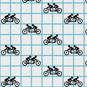 Racing Tandems on Blue Grid  - Tandem Bicycles - Fast Bikes