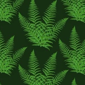 Ferns on Jungle Green