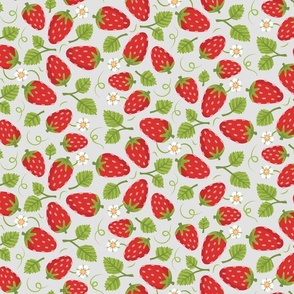 Fresa Strawberries on Gray