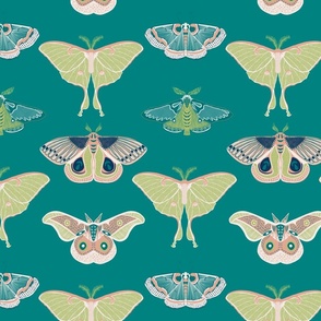 Moths on Display (Light Teal)