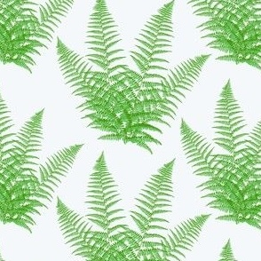 Ferns on Light Blue