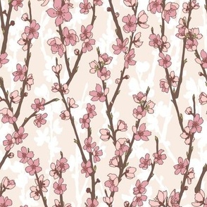 Spring Time Peach Blossoms on Cream