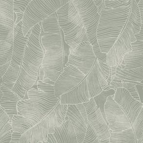 Banana Leaf, Sage Green Gray on Faux Paper Texture, Rotated, 10.49in x 11.60in